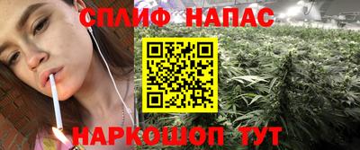 прущий лед Будённовск